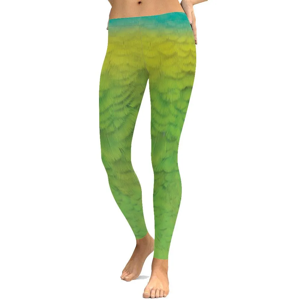 Amazon Parrot Tank And Leggings